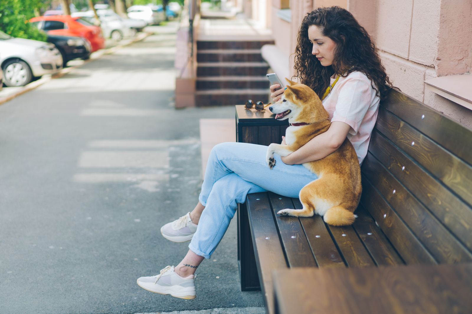 Hundebesitzerin sitzt mit ihrem Hund auf einer Bank und schaut auf ihr Smartphone
