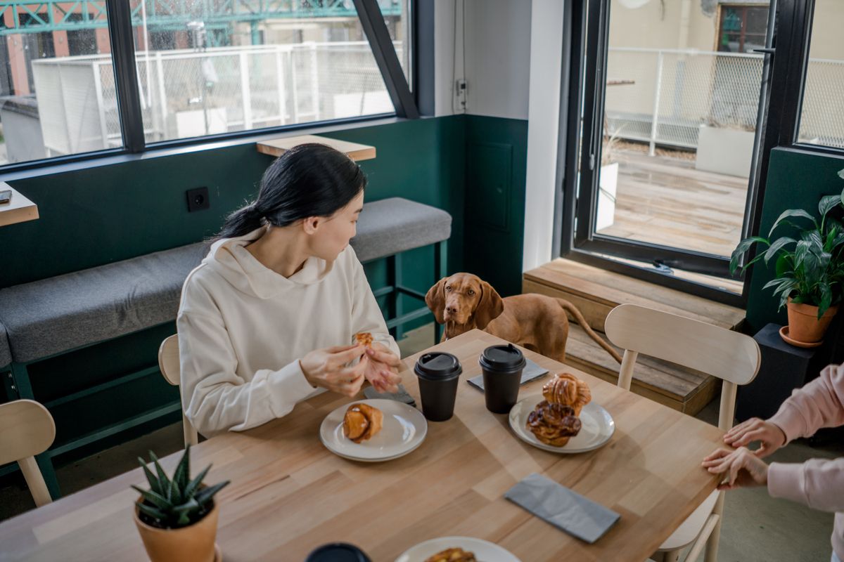 Eine Frau sitzt mit Kaffee und Gebäck im Café, ein Hund schaut am Tisch zu