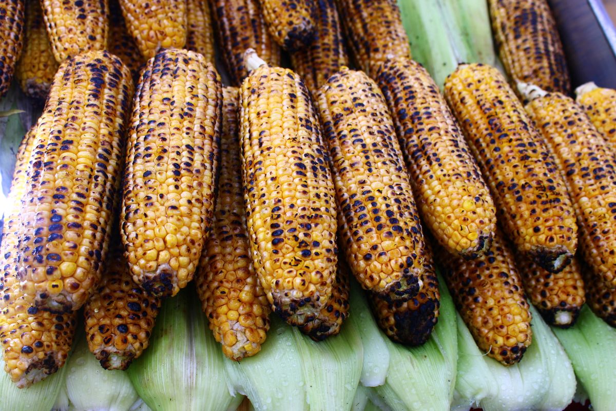 Nahaufnahme von gegrillten Maiskolben auf dem Grillrost