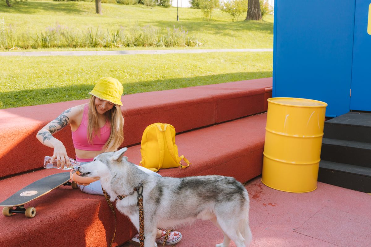 Mensch gibt einem Hund im Sommer Wasser aus einem Napf