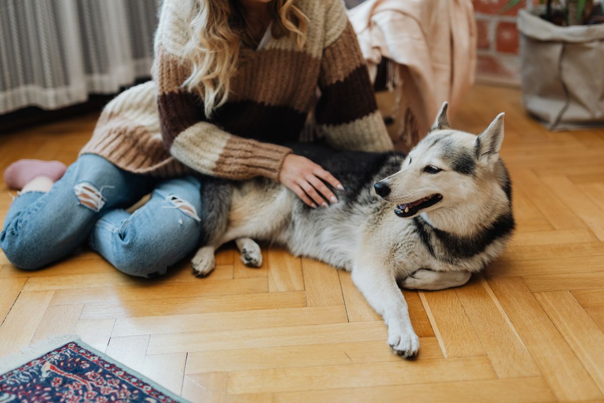 Woman sitting with her dog on the floor, watching him attentively