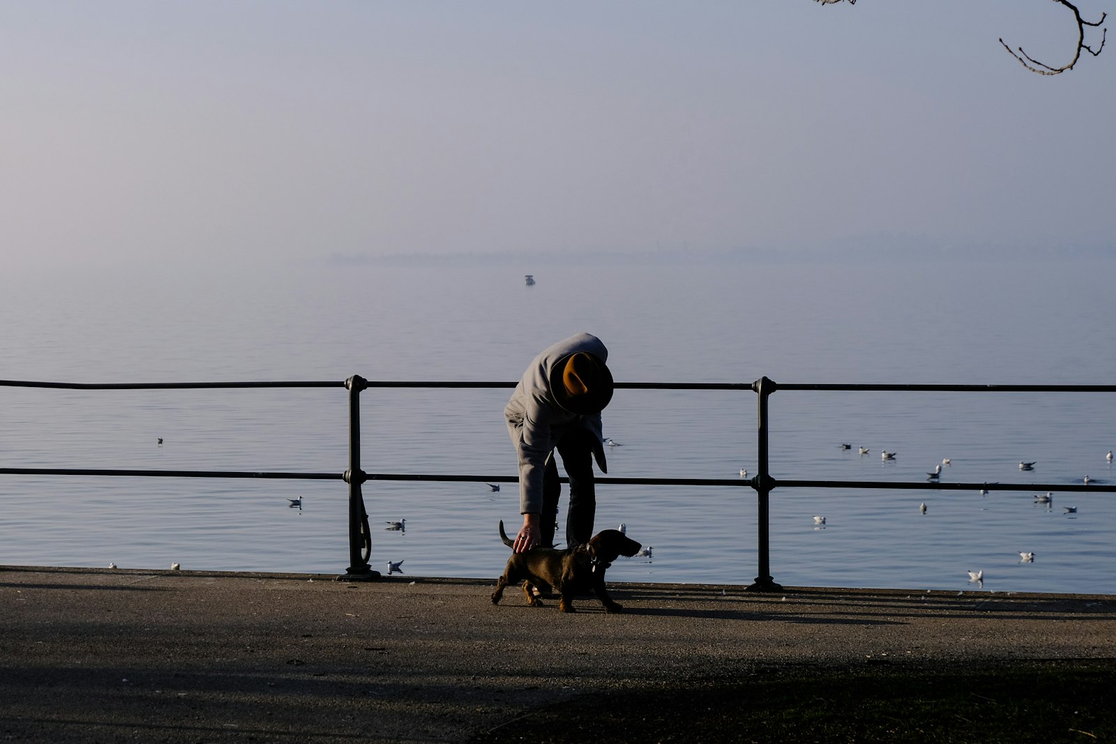 Ein Mensch mit Hut beugt sich an einer Seepromenade zu einem Dackel hinunter