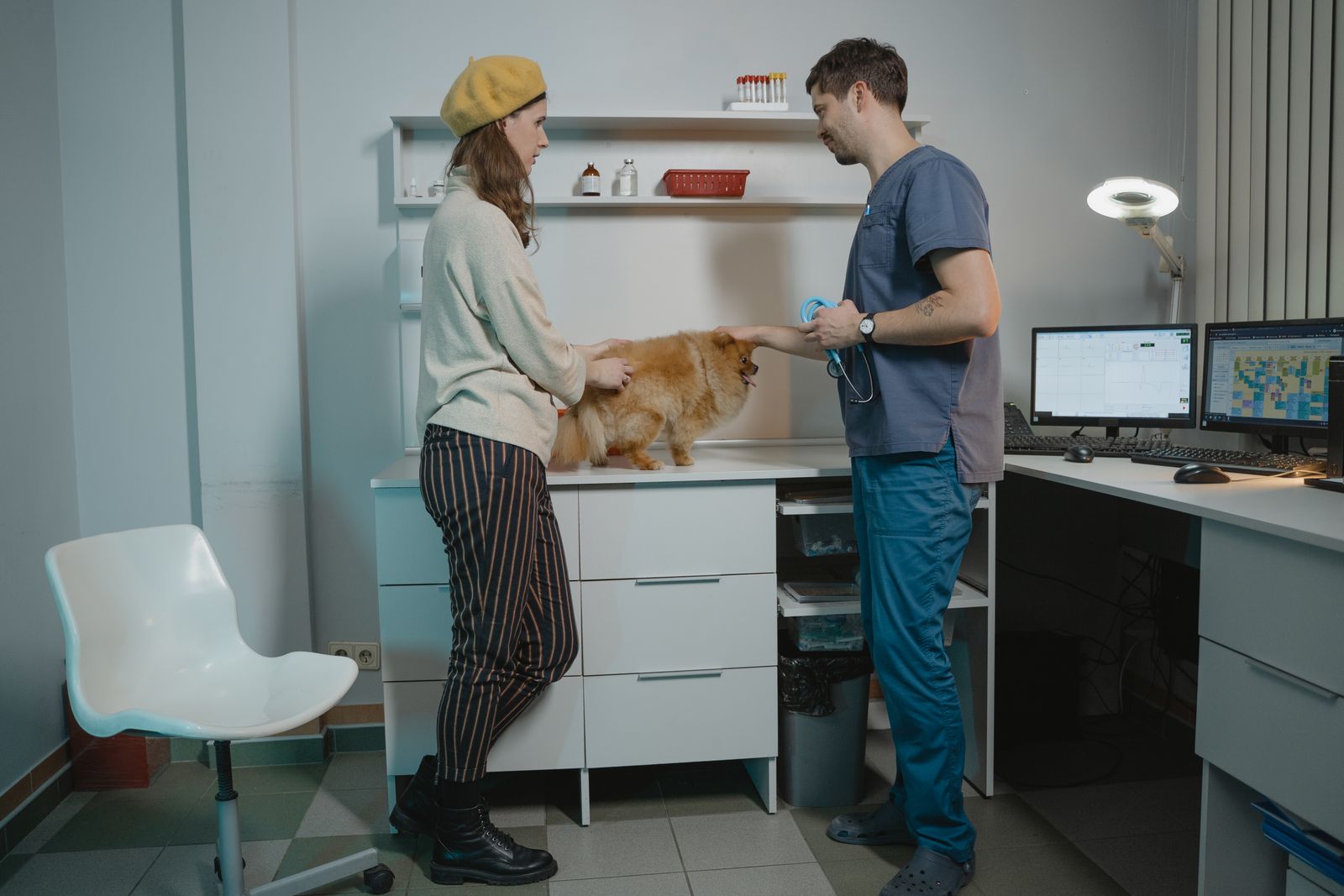 Hundehalterin bespricht mit einer Tierärztin die Behandlung ihres Hundes in der Praxis