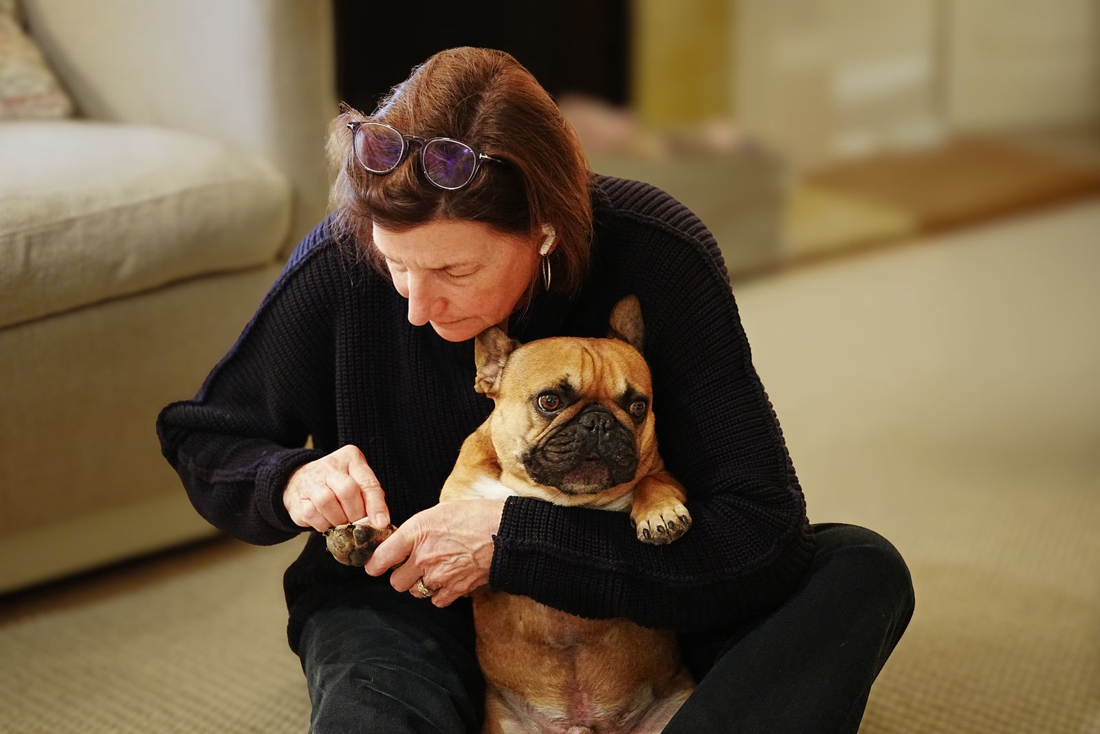 Woman calmly trimming her French Bulldog's nails at home on the floor