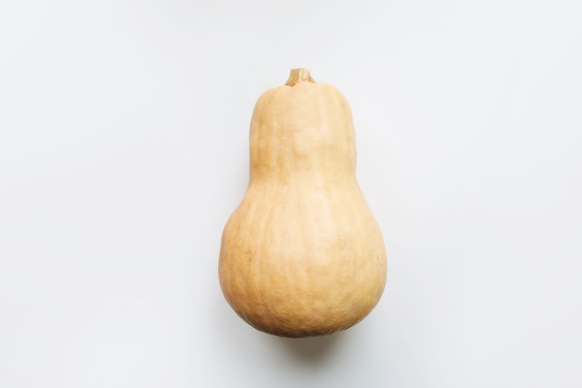 Butternut-Kürbis in Nahaufnahme
