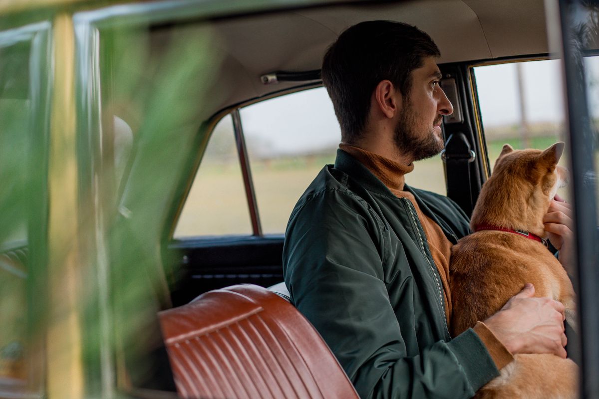 Mann sitzt mit seinem Hund im Auto
