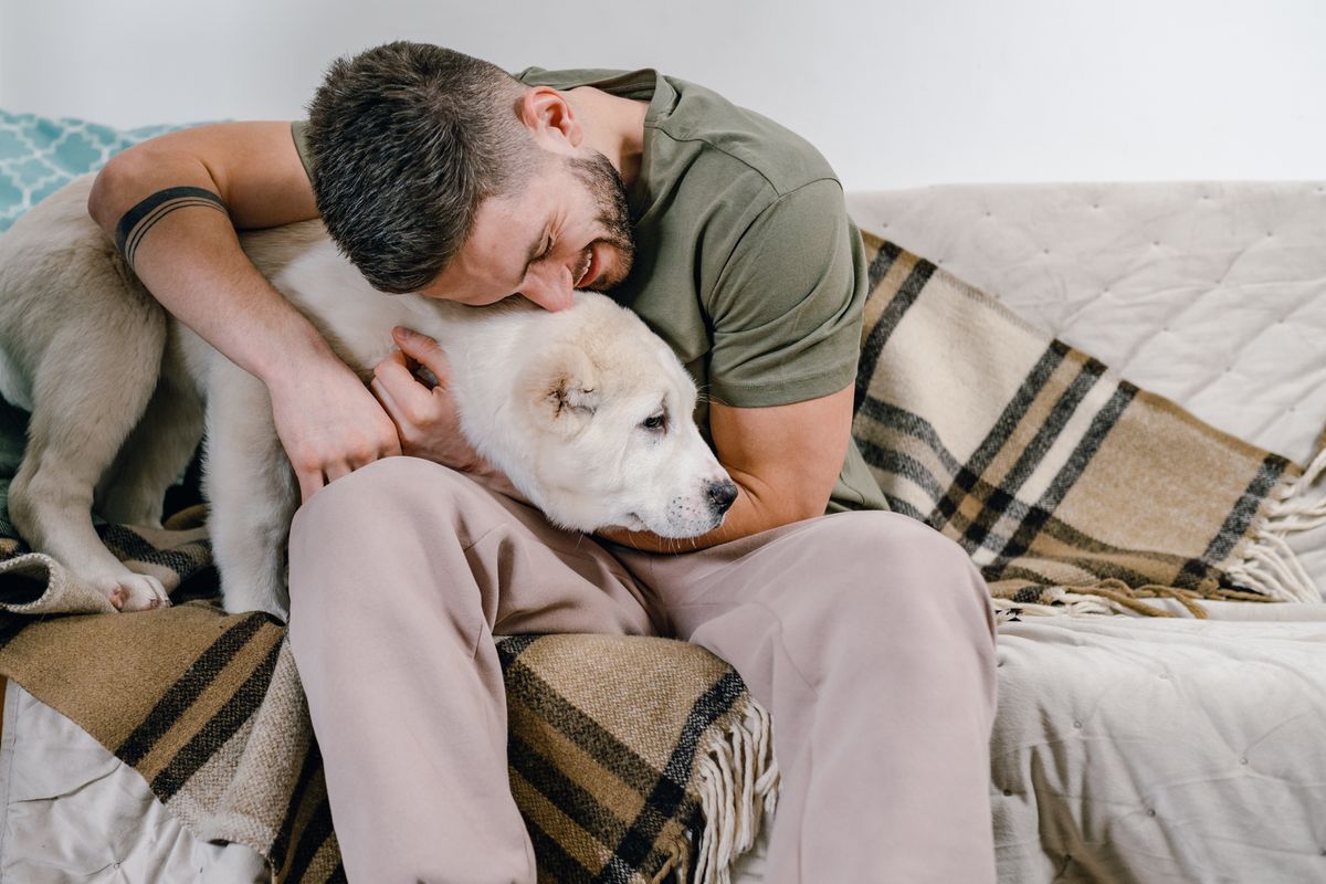 Man calmly hugs and comforts his dog on the couch