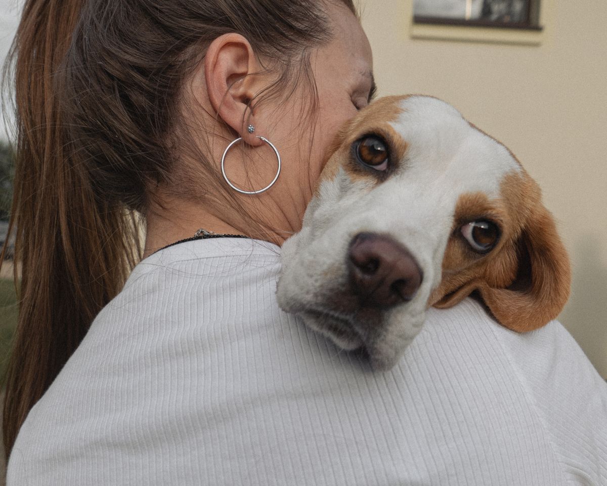 Beagle rests his head on a woman's shoulder while she hugs him
